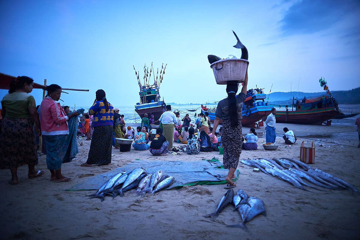 Thabawseik At Dawn The Fishing Village Of Tanintharyi Bangkok Tribune
