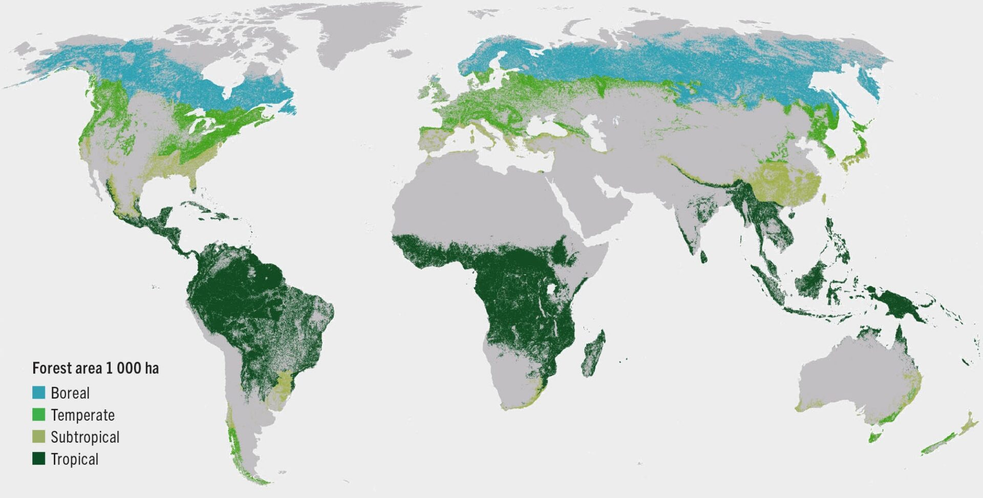 Tropical rainforests still under greatest threat despite slowing