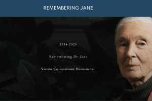 Famed conservationists worldwide pay tribute to the world’s top primatologist and conservationist, Dr. Jane Goodall