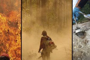PHOTO EXHIBITION: GEN-F: Living in Fear amid Ecocide